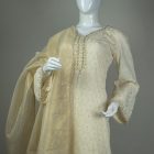 Chikankari Hand Embellished - Skin