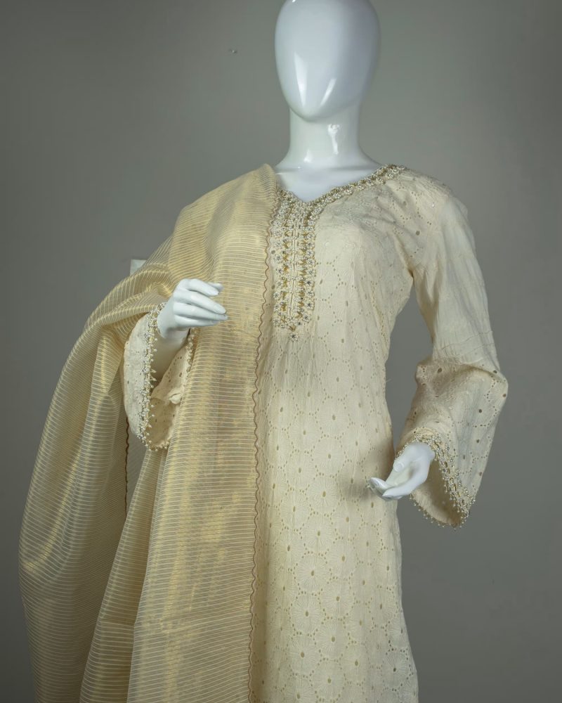 Chikankari Hand Embellished - Skin