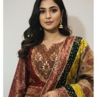 Raw silk jamawar and printed zari organza miray