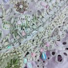 Whisper of Spring – 3 pcs