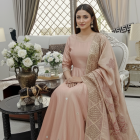 Zari Organza Peach Shawl