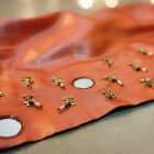 Amber Aura Sharara Set